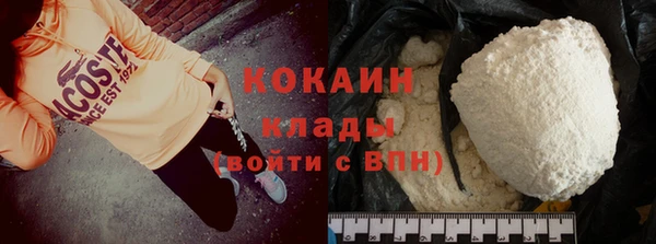 ПСИЛОЦИБИНОВЫЕ ГРИБЫ Горно-Алтайск