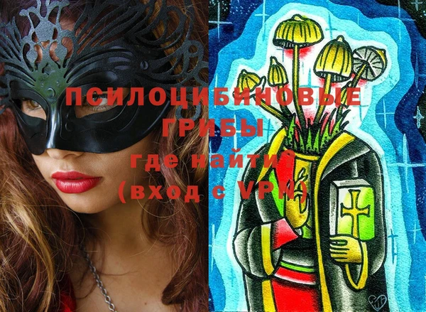 первитин Горняк