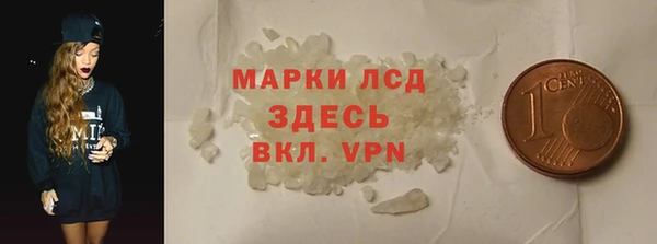 ПСИЛОЦИБИНОВЫЕ ГРИБЫ Горно-Алтайск