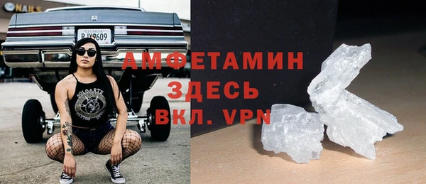 ПСИЛОЦИБИНОВЫЕ ГРИБЫ Горно-Алтайск