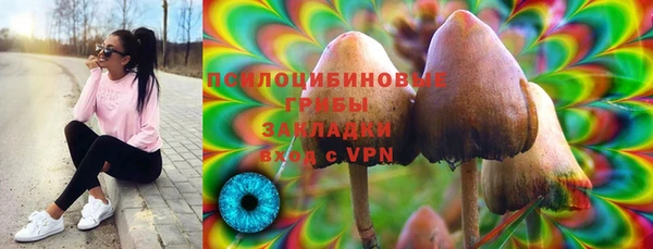 ALPHA PVP Горнозаводск
