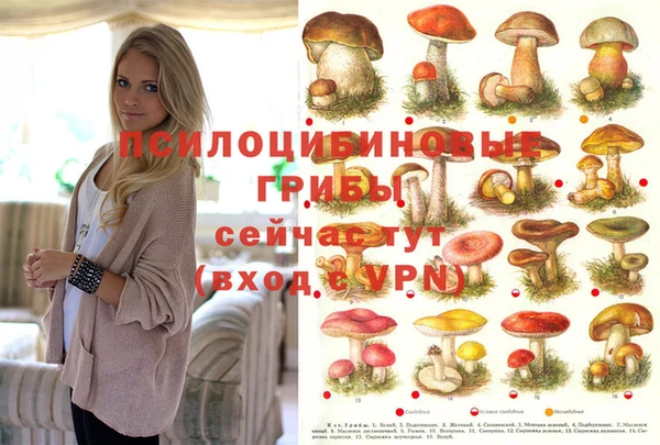 метадон Дмитровск