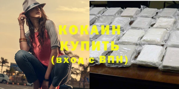 ПСИЛОЦИБИНОВЫЕ ГРИБЫ Горно-Алтайск